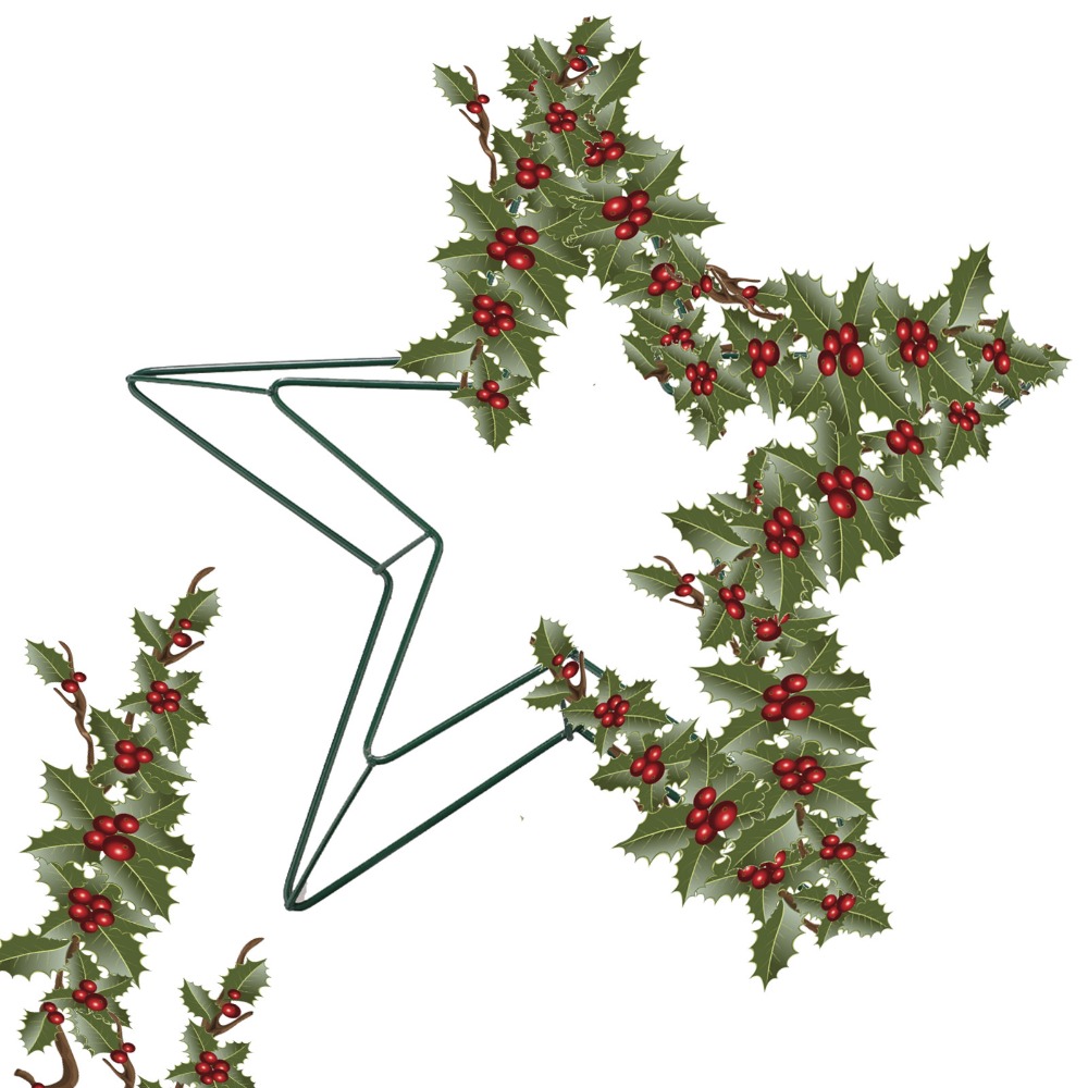 Cornice per Ghirlanda a Stella - Wreath Form Wire recensione e prezzo