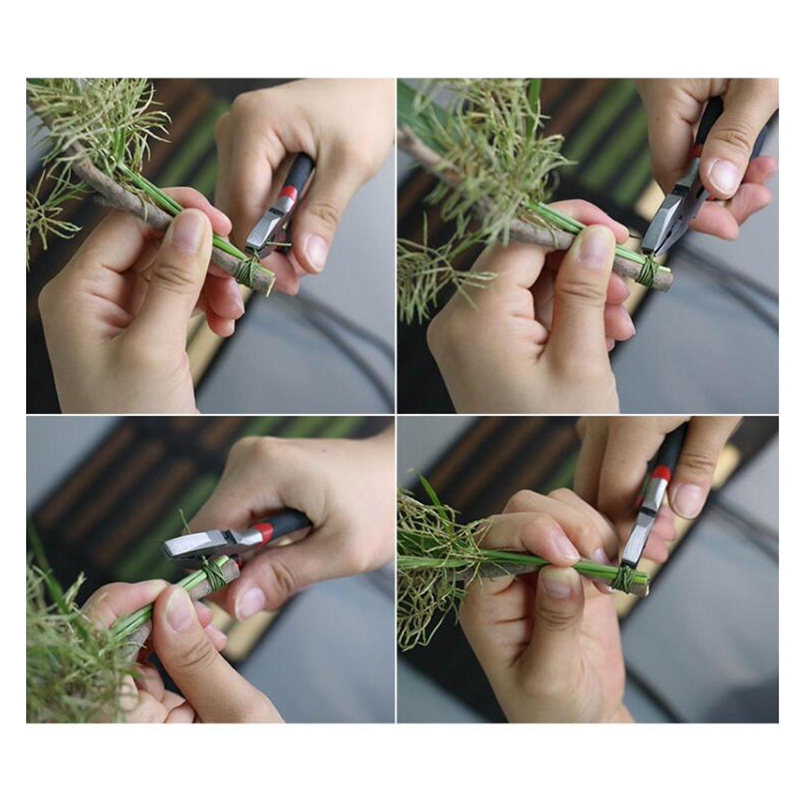 100x Filo per Fioristi 16 Poll - Wire Stem Florist recensione e prezzo